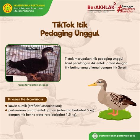 itik•site mod|TikTok .